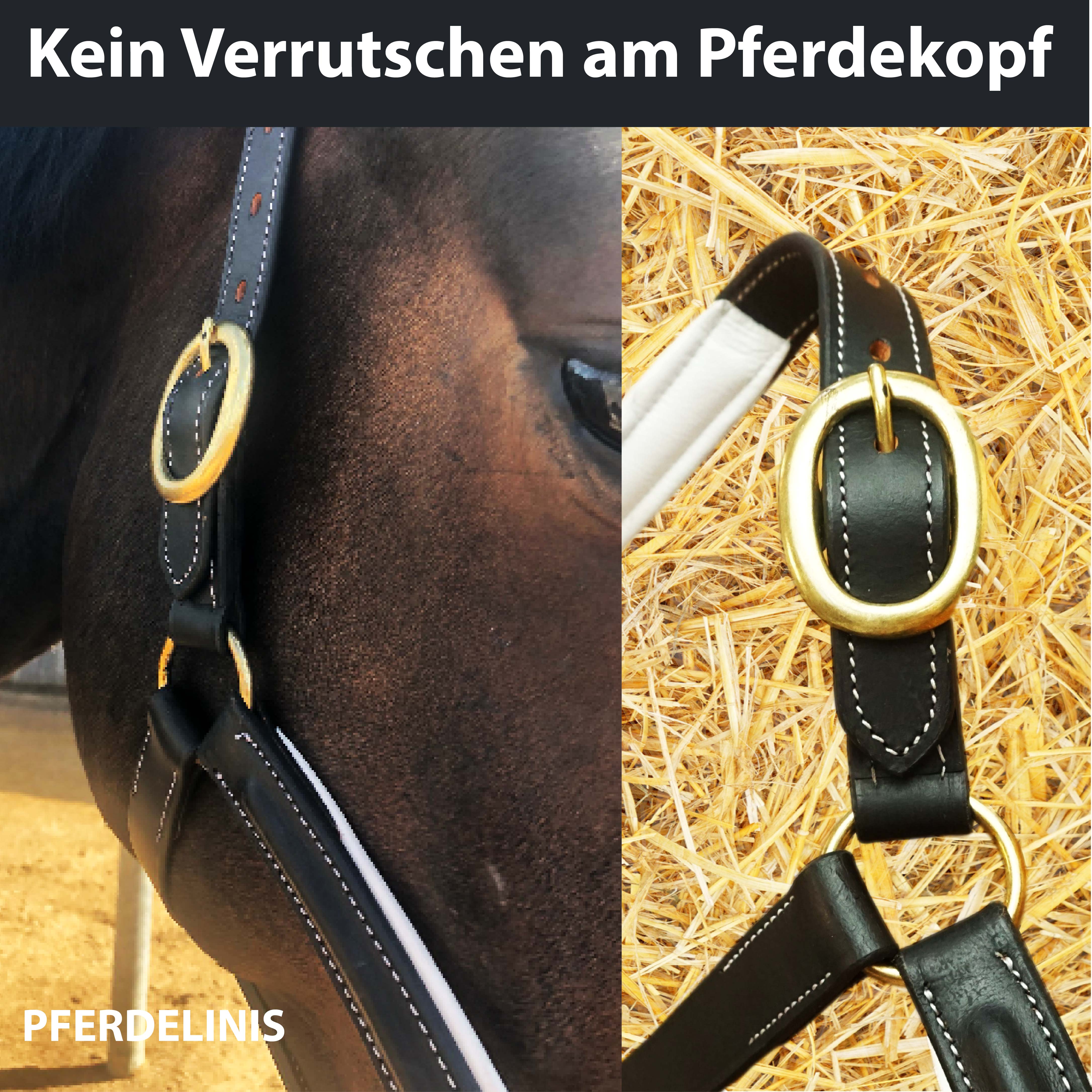 Lederhalfter in schwarz, weiß unterlegt Premium Stallhalfter